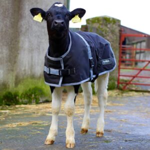 Calf Jacket